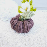 Knitted Pumpkins,Yarn Projects,Carrie's Butterfly Boutique