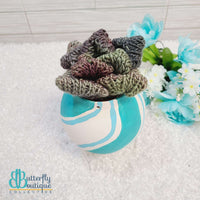 Plush Cactus in Pot,Yarn Projects,Carrie's Butterfly Boutique
